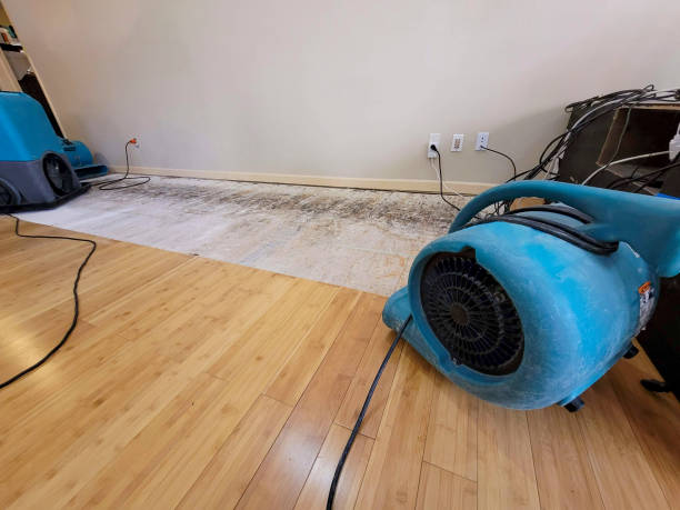 Professional Emergency Water Damage technician working in East Rockaway, NY